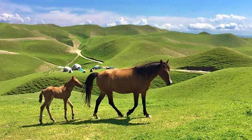 خرید ملک در گلستان